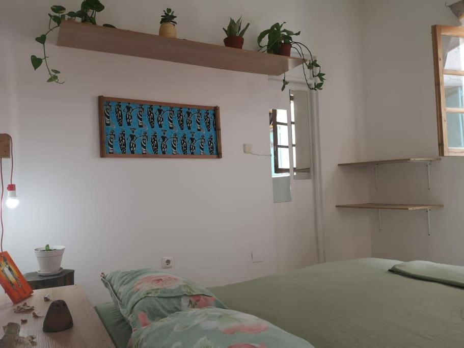 Old House Διαμέρισμα Tarrafal  Εξωτερικό φωτογραφία